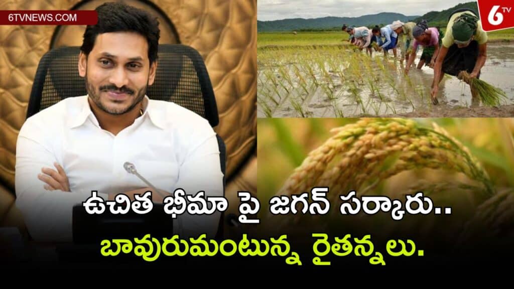 Jagan govt on free insurance.. Farmers who are in good condition report to center on rice crop.