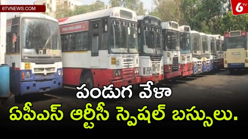 APS RTC special buses during festival.