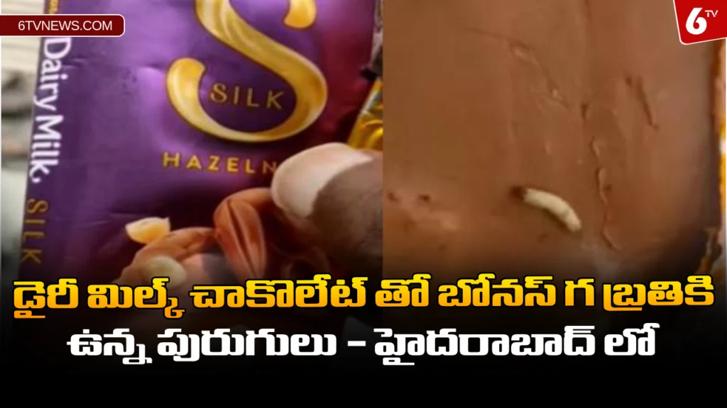 website 6tvnews template 47 డైరీ మిల్క్ చాకొలేట్ తో బోనస్ గ బ్రతికి ఉన్న పురుగులు - హైదరాబాద్ లో : Live worms on Dairy Milk Chocolate - Hyderabad